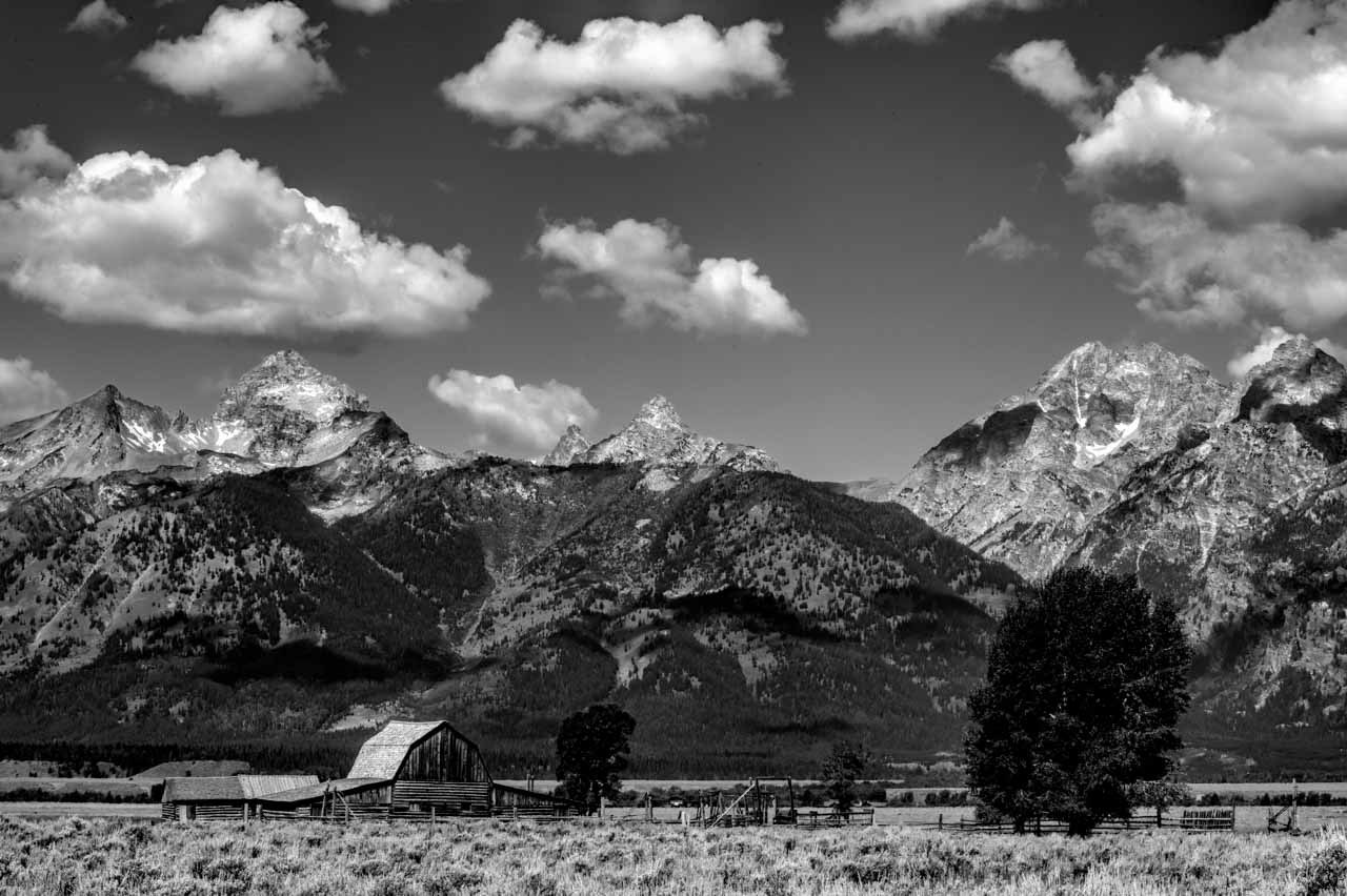 Grand Teton with a barn in the foreground.