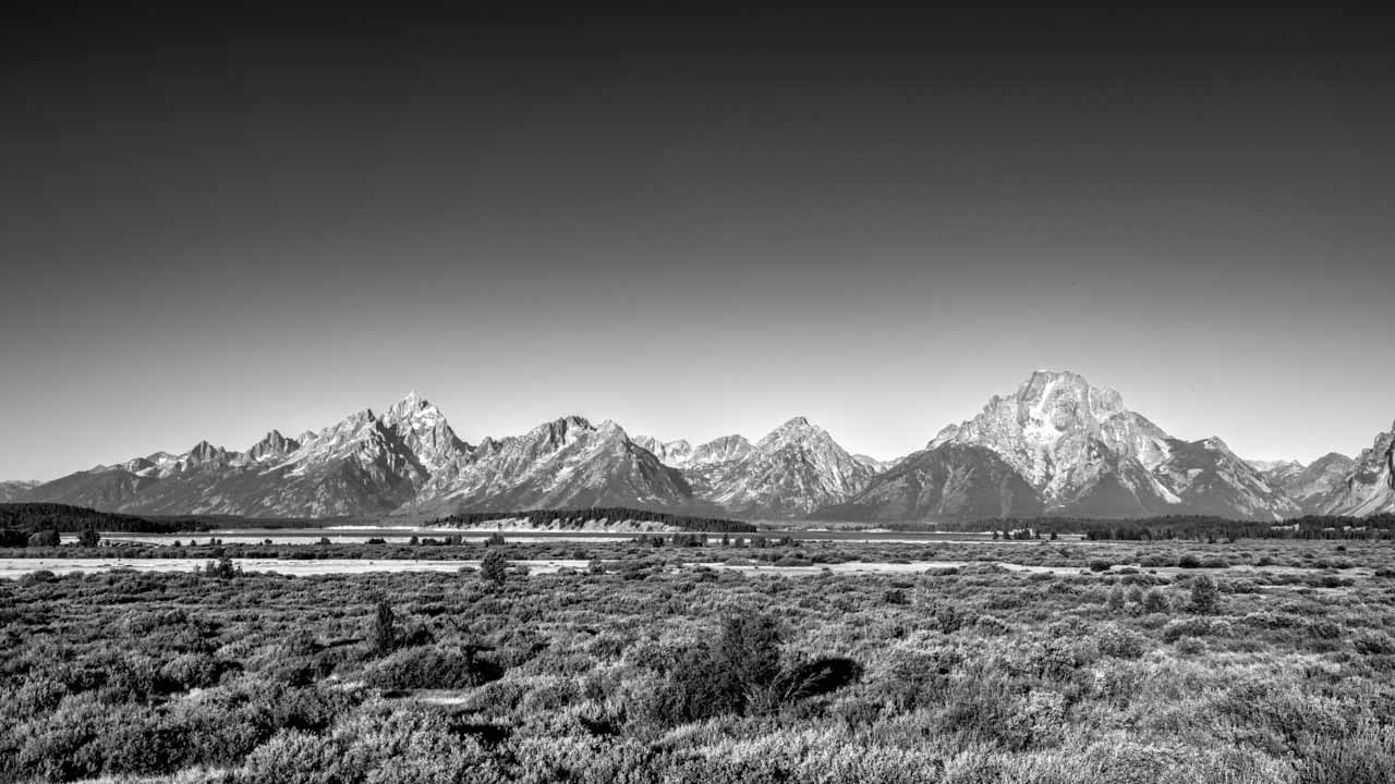 Grand Teton in the background of a meadow.