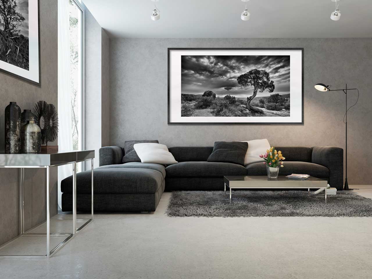 Une photo d'art d'un arbre en noir et blanc exposée dans un salon.