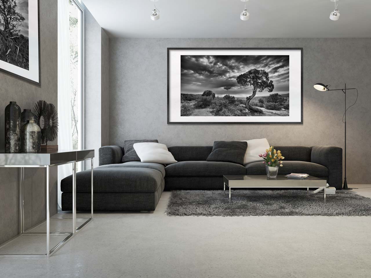 Two black and white fine art prints of landscapes exposed in a living room in an apartment in Paris.