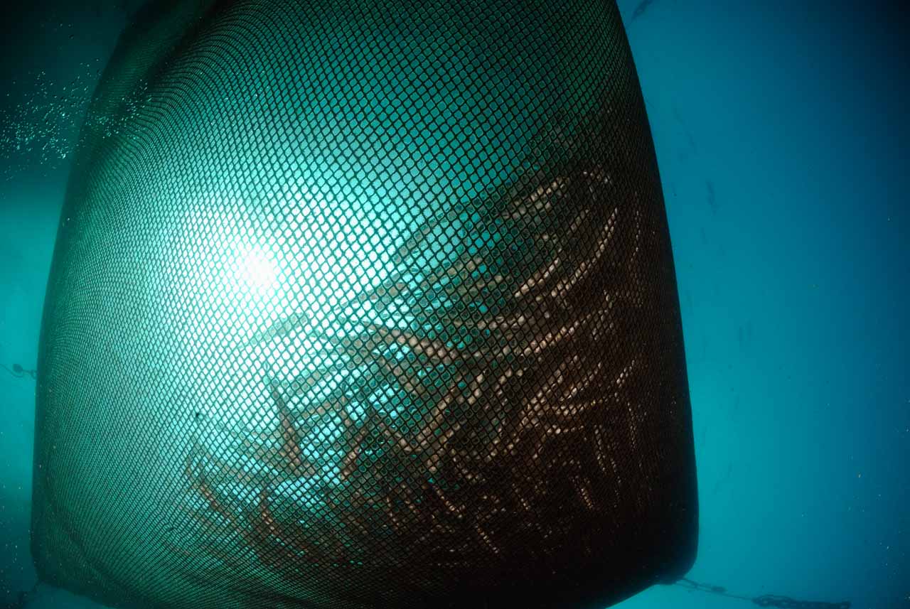 La ferme aquacole de Cannes en France. Mer Méditerranée.