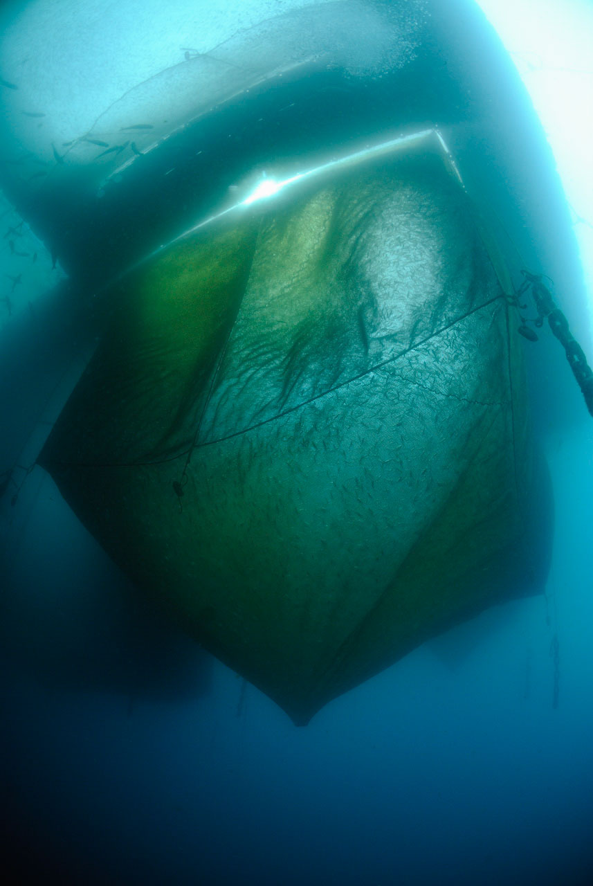 La ferme aquacole de Cannes en France. Mer Méditerranée.