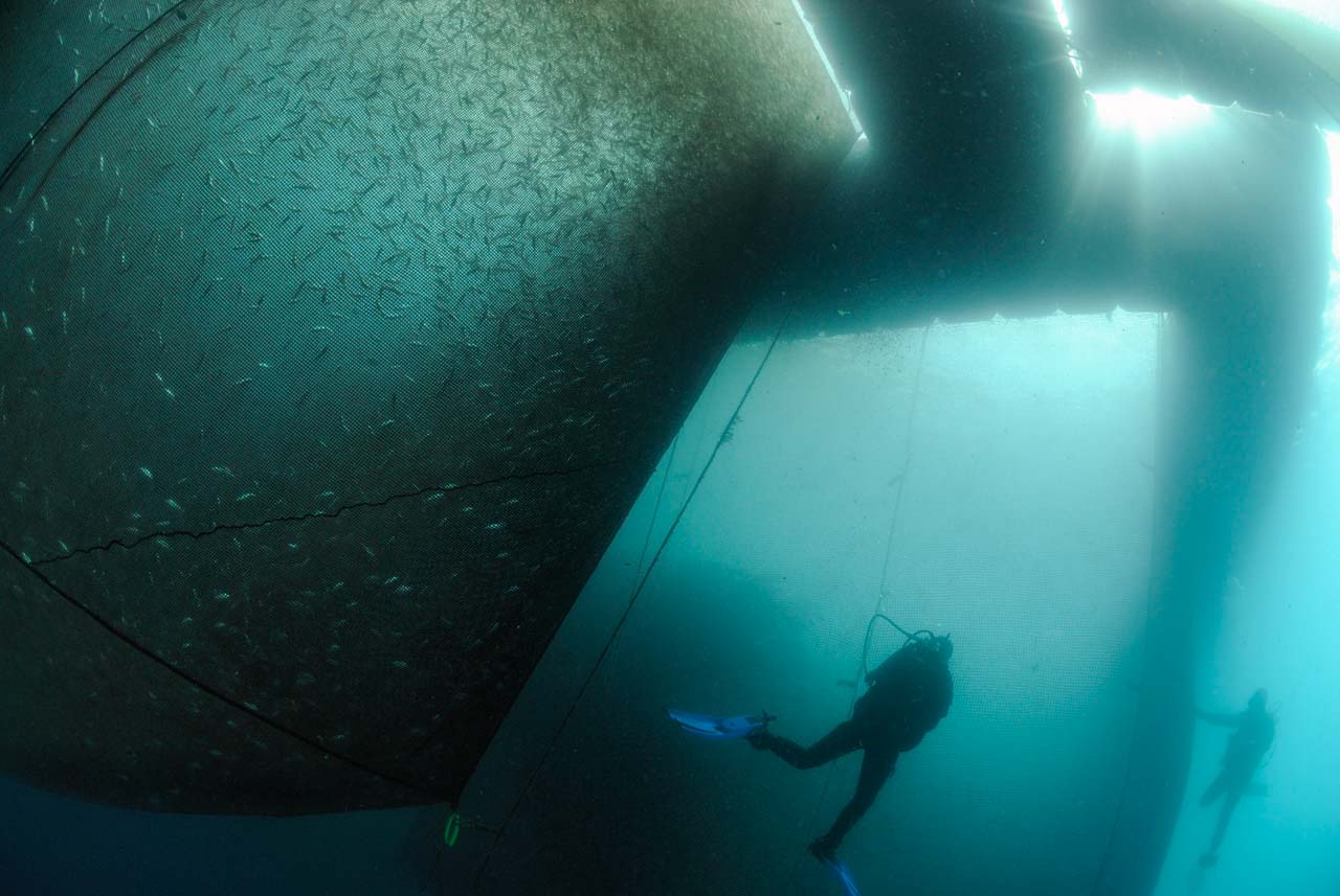 La ferme aquacole de Cannes en France. Mer Méditerranée.