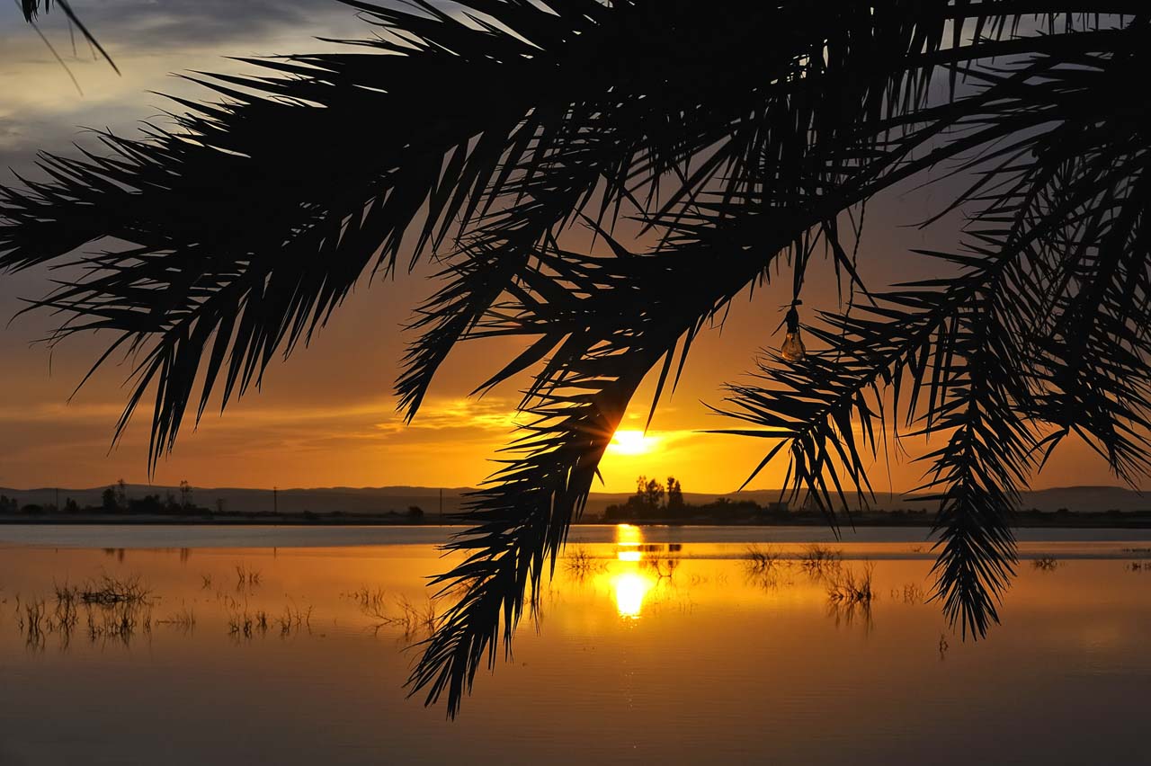 L'oasis de Siwa dans l'ouest de l'Egypte.