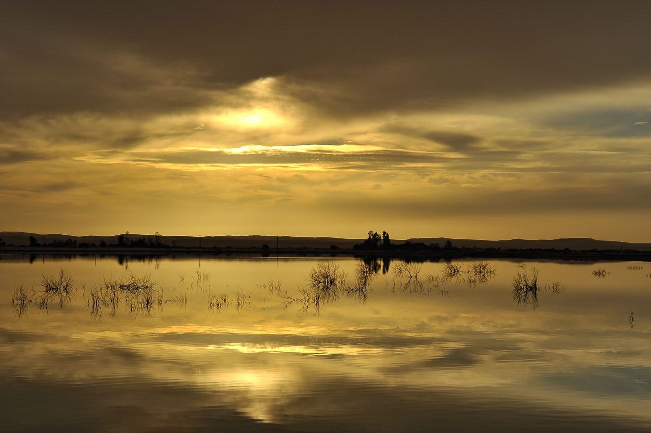 Oasis of Siwa in western of Egypt.