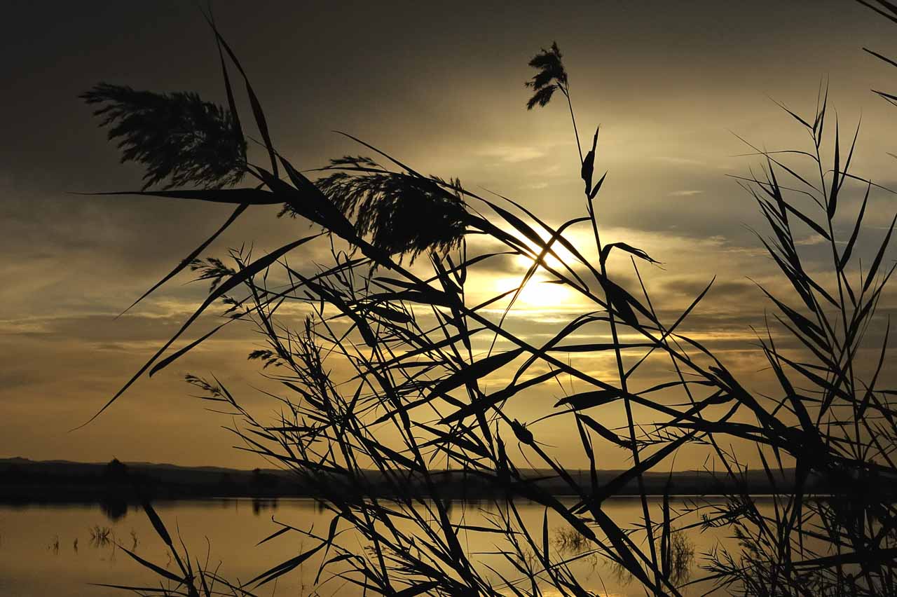 Oasis of Siwa in western of Egypt.