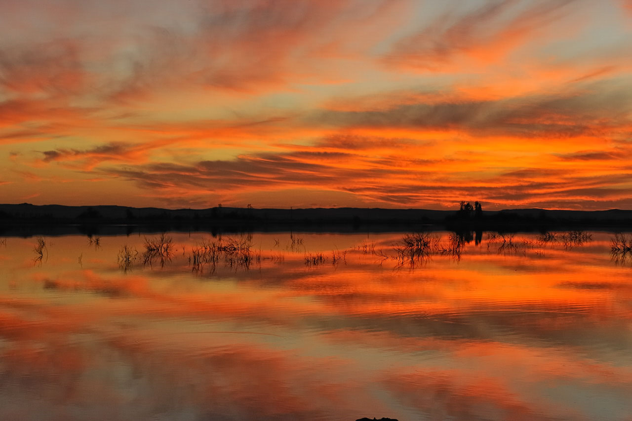 Oasis of Siwa in western of Egypt.