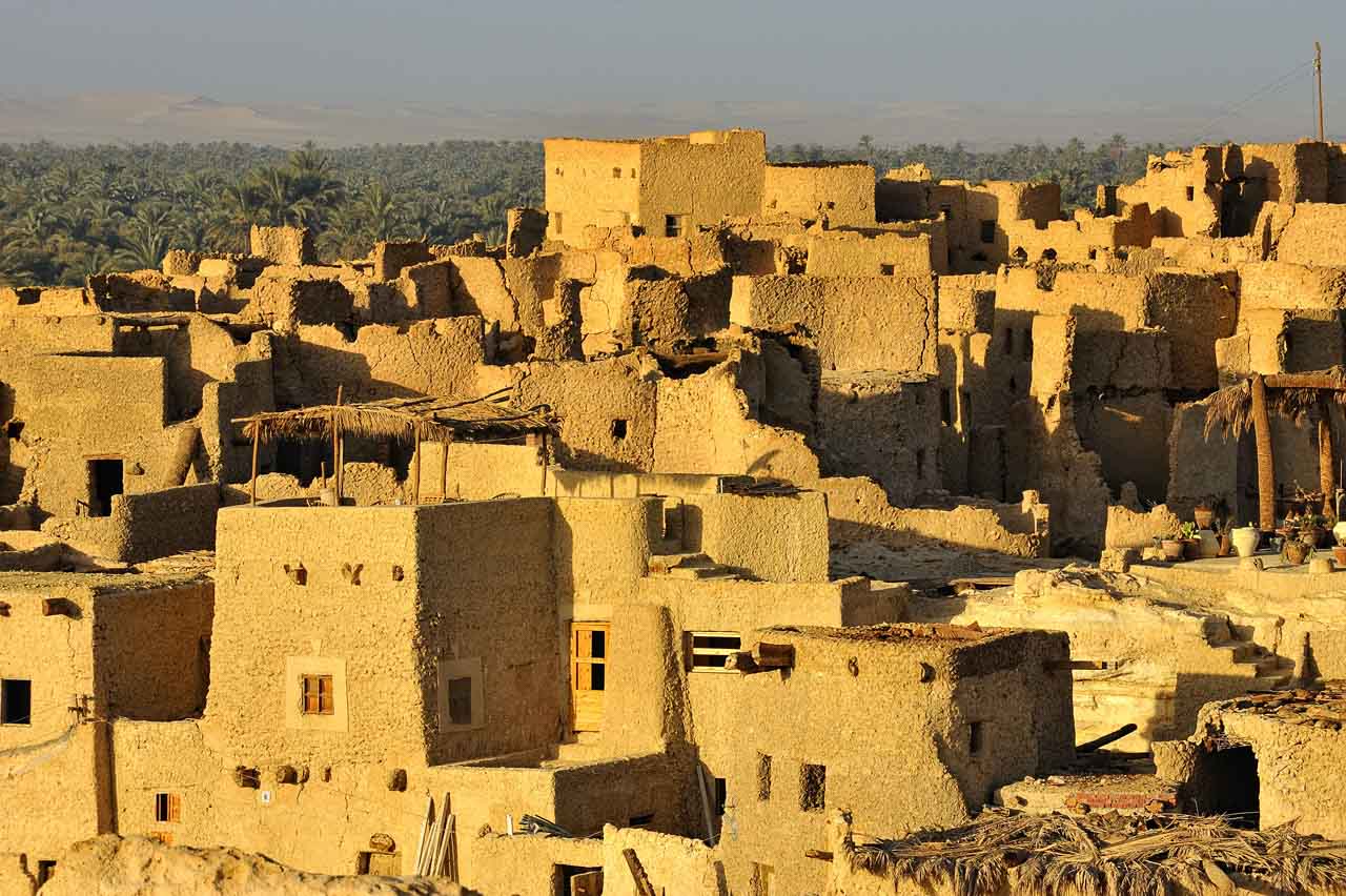 Siwa oasis in Egypt.