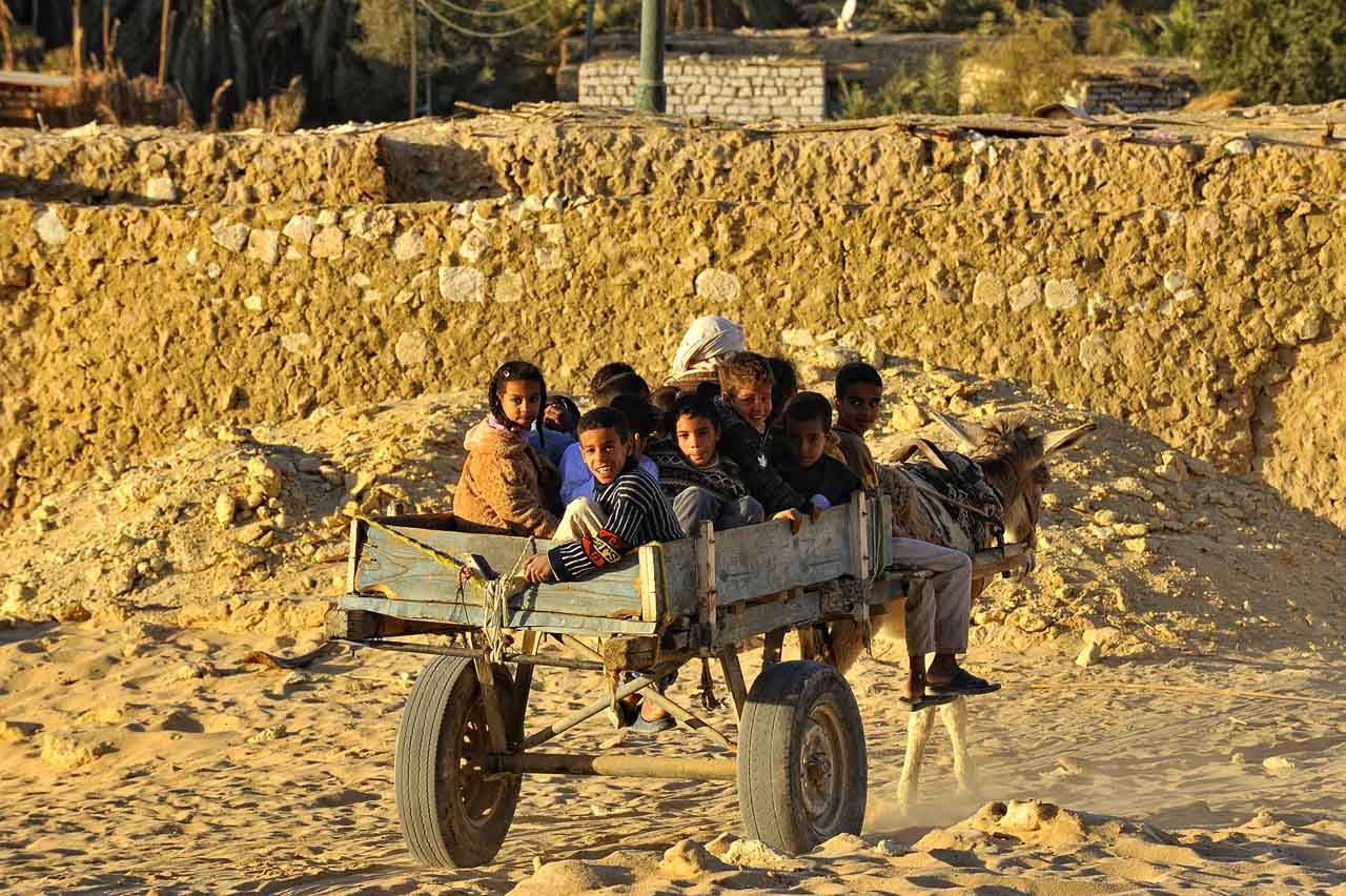 Siwa oasis in Egypt.