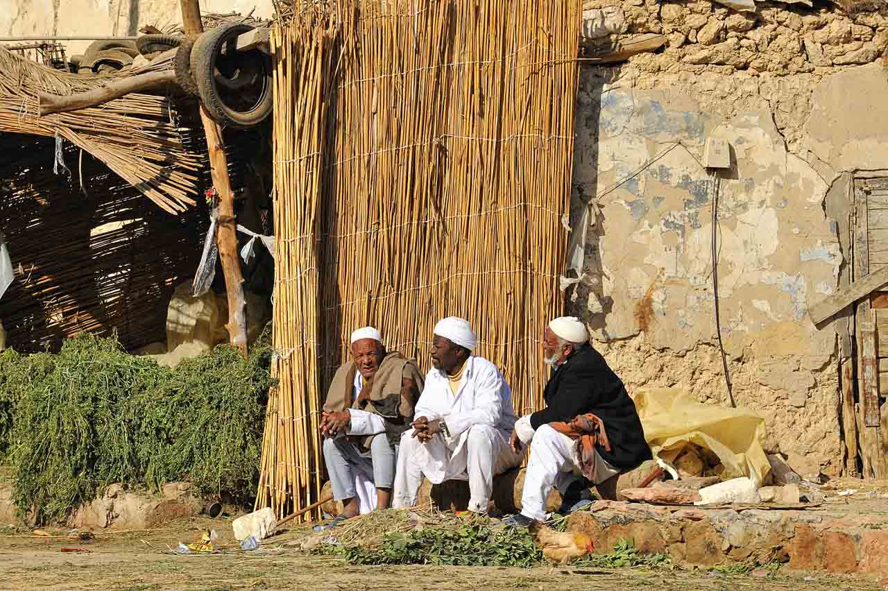 Siwa oasis in Egypt.