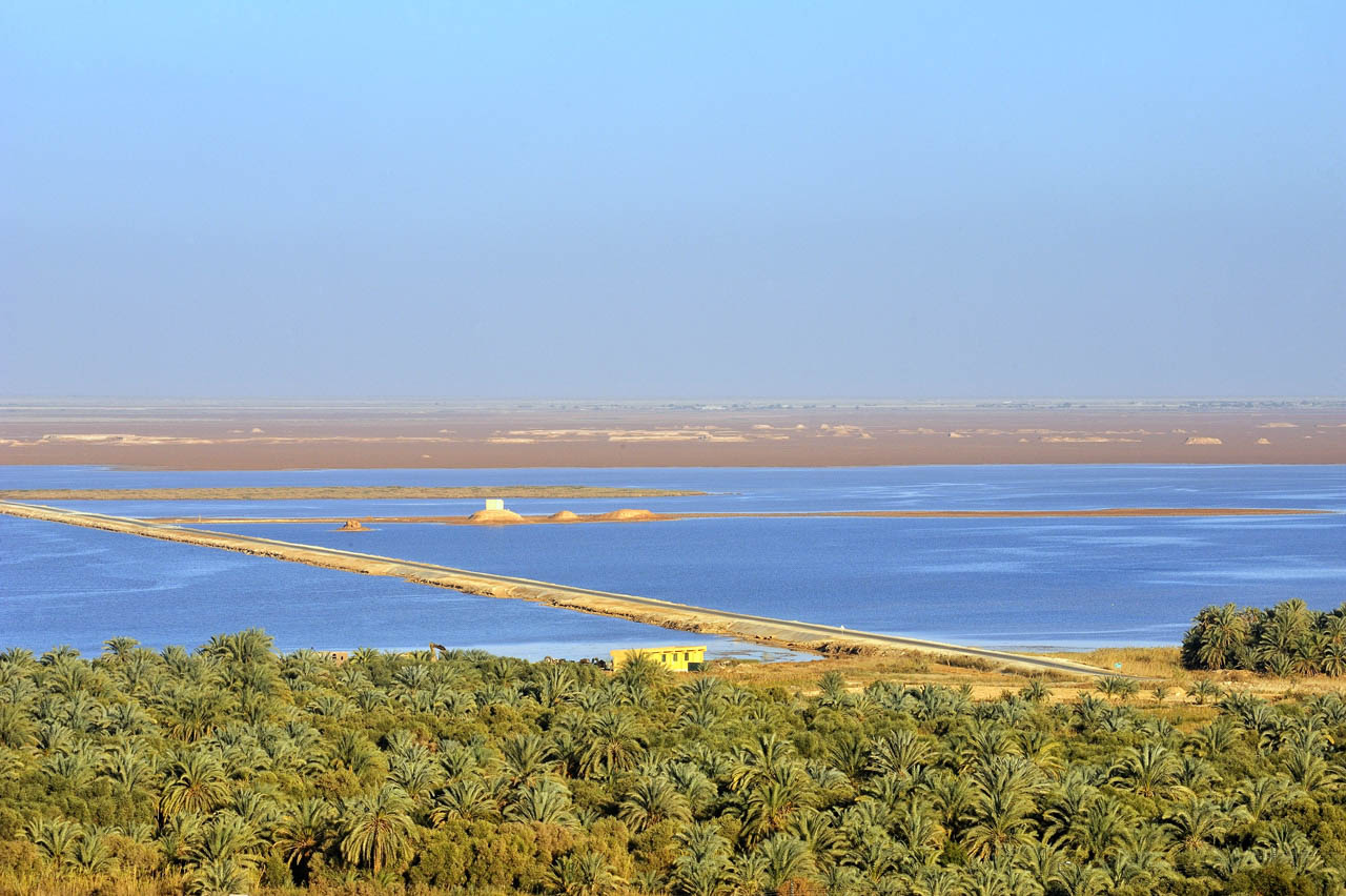 Stroll through the oasis of Siwa.