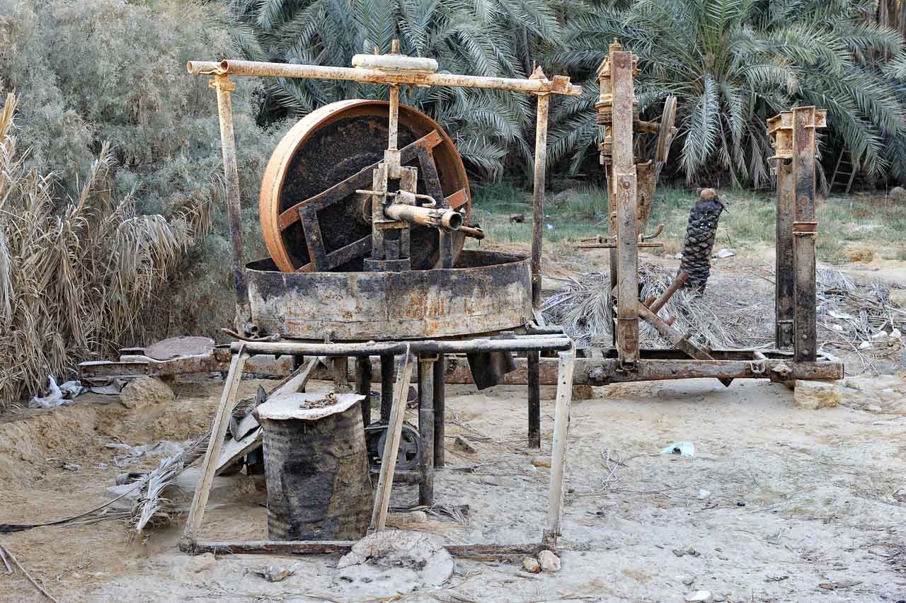 Stroll through the oasis of Siwa.