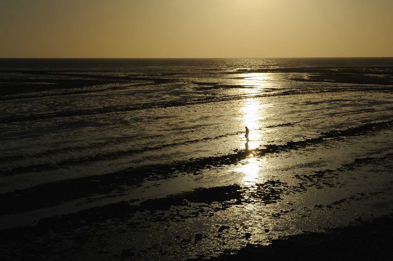 PLandscapes of the coast of Charente-Maritime, France.