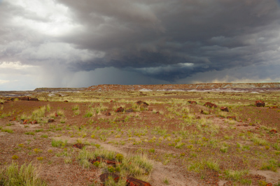 Paysages de la forêt pétrifiée dans l'état de l'Arizona. Photographies par Amar Guillen.