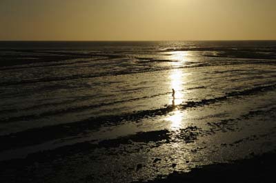 Paysages de la côte de la Charente-Maritime en France. Photographies par Amar Guillen.