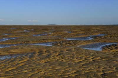 Paysages de la côte de la Charente-Maritime en France. Photographies par Amar Guillen.