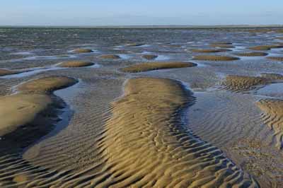 Paysages de la côte de la Charente-Maritime en France. Photographies par Amar Guillen.