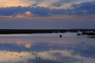 Paysages de la côte de la Charente-Maritime en France. Photographies par Amar Guillen.