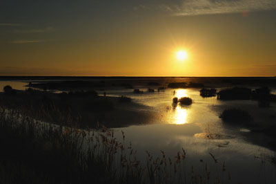Paysages de la côte de la Charente-Maritime en France. Photographies par Amar Guillen.