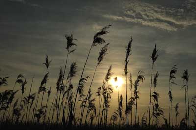 Paysages de la côte de la Charente-Maritime en France. Photographies par Amar Guillen.