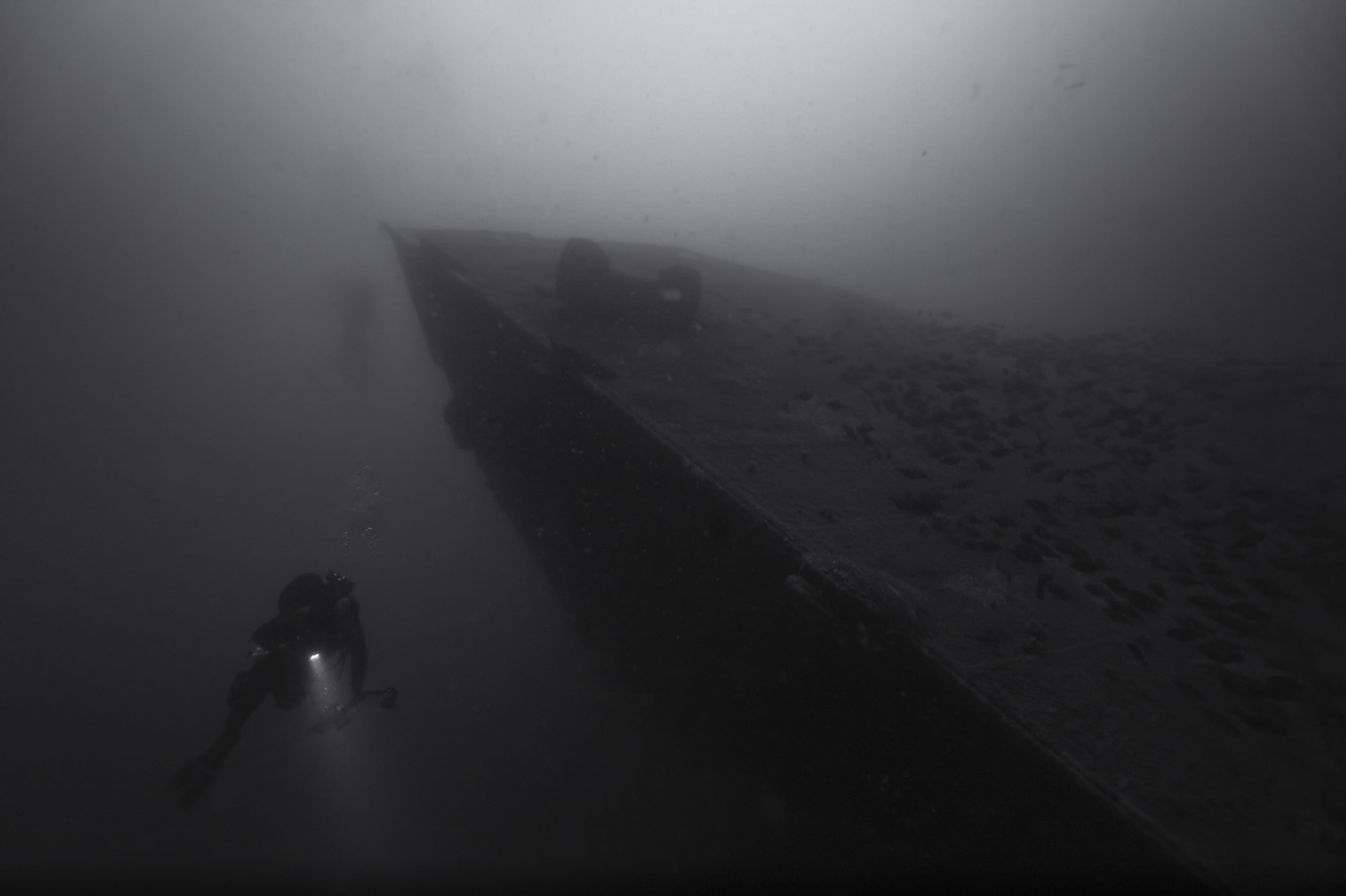 The wreck of Sauerland sunk off the coast of Charente-Maritime in France, Atlantic Ocean.
