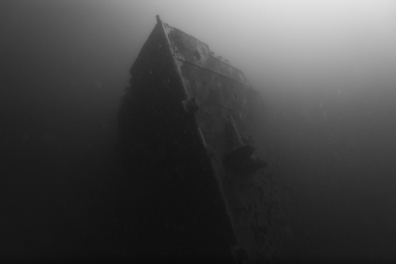 The wreck of Sauerland sunk off the coast of Charente-Maritime in France, Atlantic Ocean.