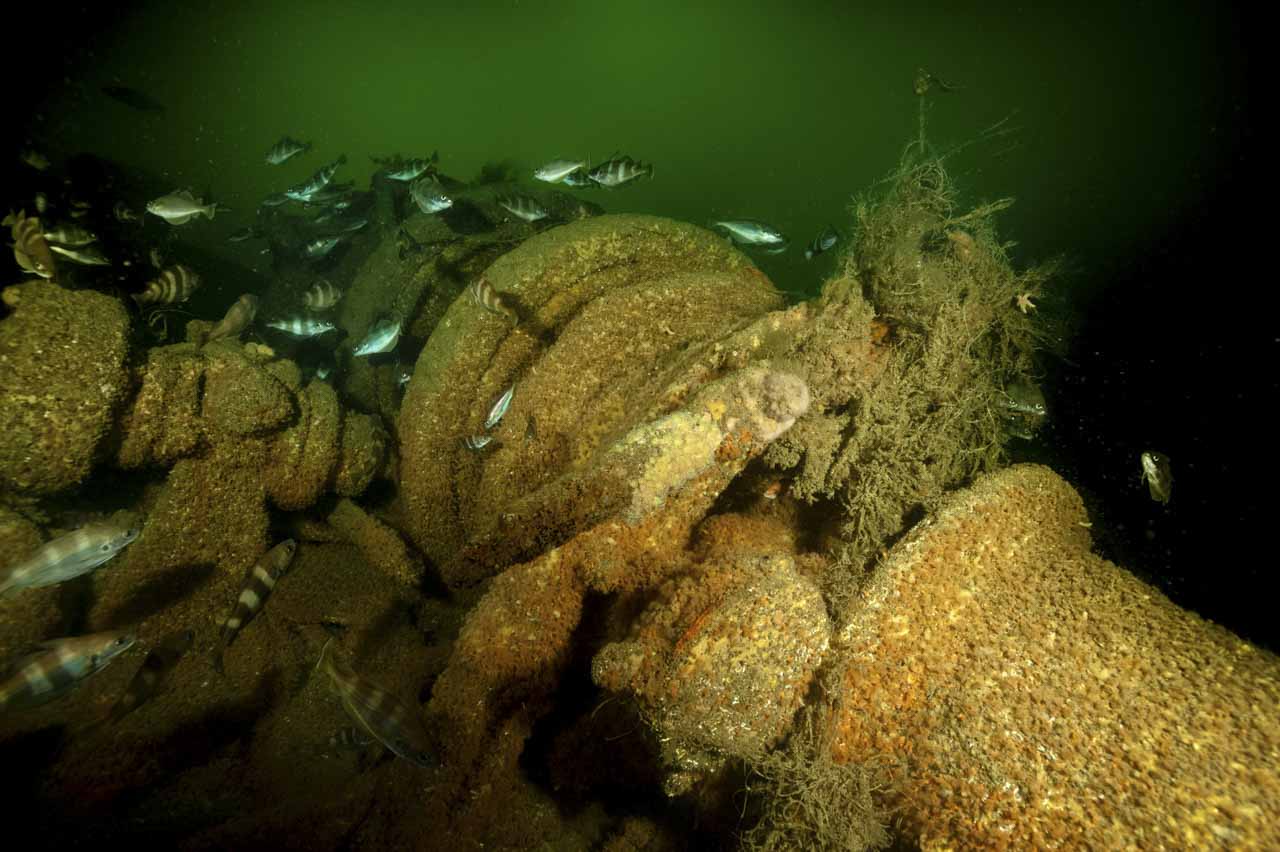 The wreck of Sauerland sunk off the coast of Charente-Maritime in France, Atlantic Ocean.