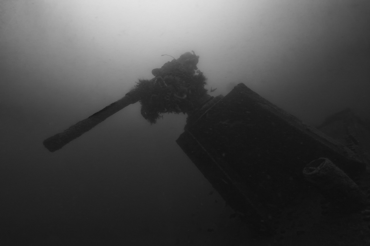 The wreck of Sauerland sunk off the coast of Charente-Maritime in France, Atlantic Ocean.
