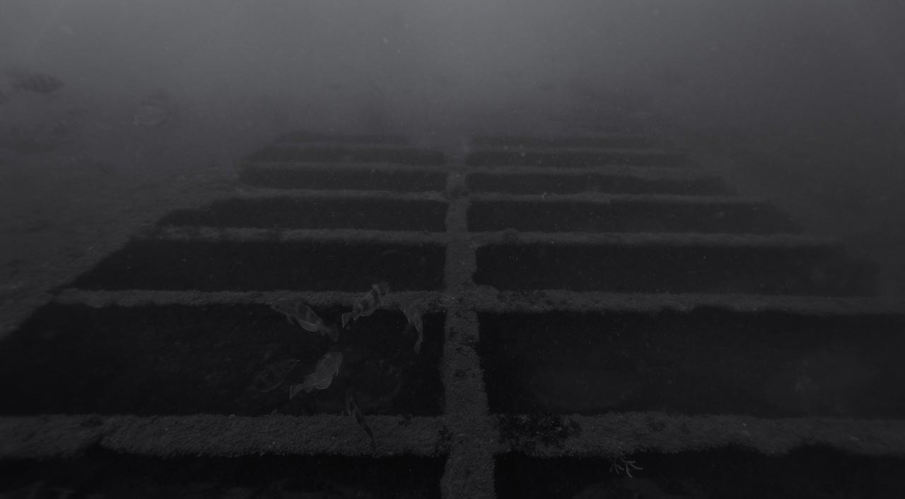 L'épave du recoin au large de l'île d'Oléron en Charente Maritime.