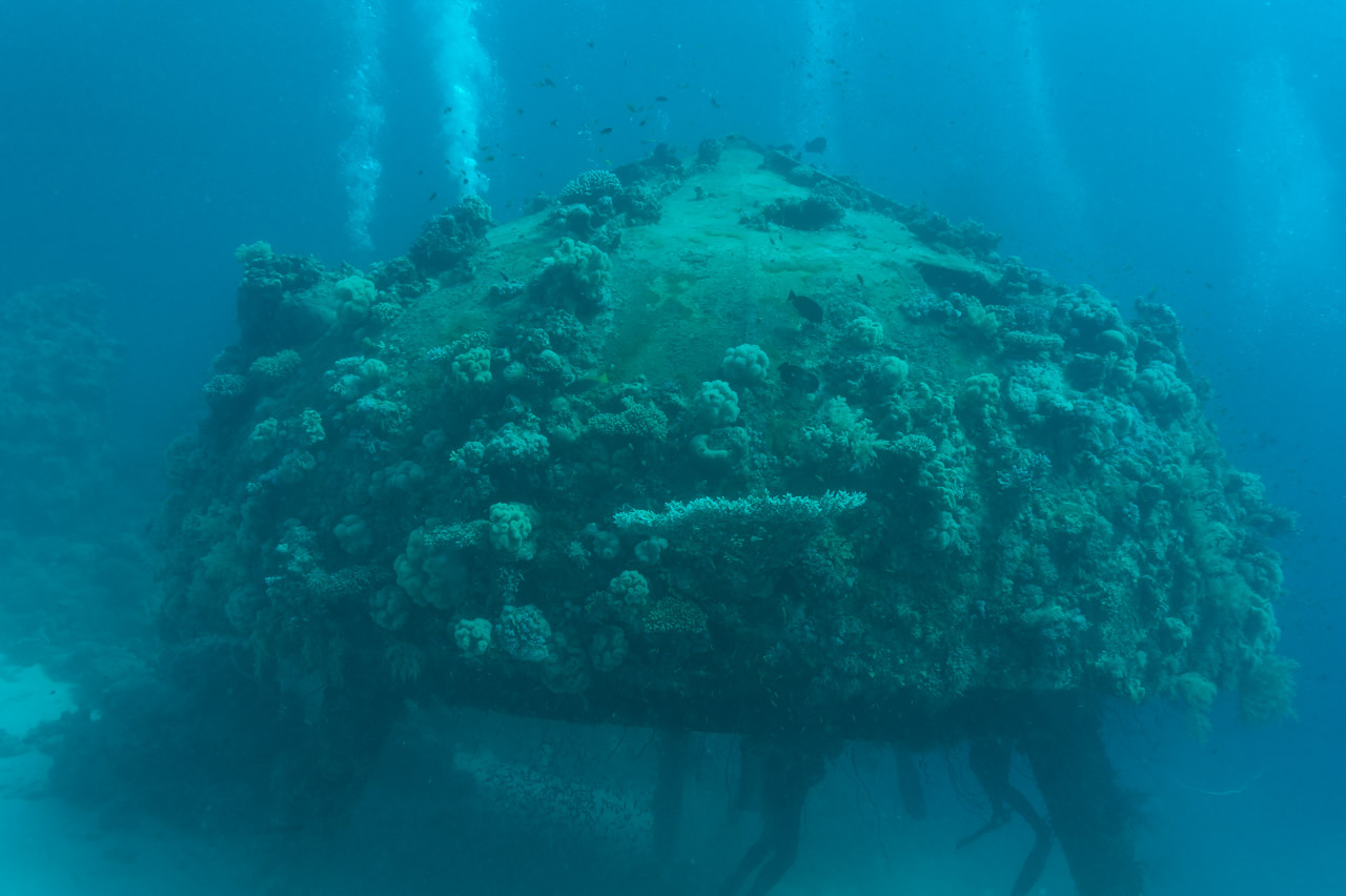 Diving on the site of Conshelf 2 on the Red Sea, off coast of Suddan.