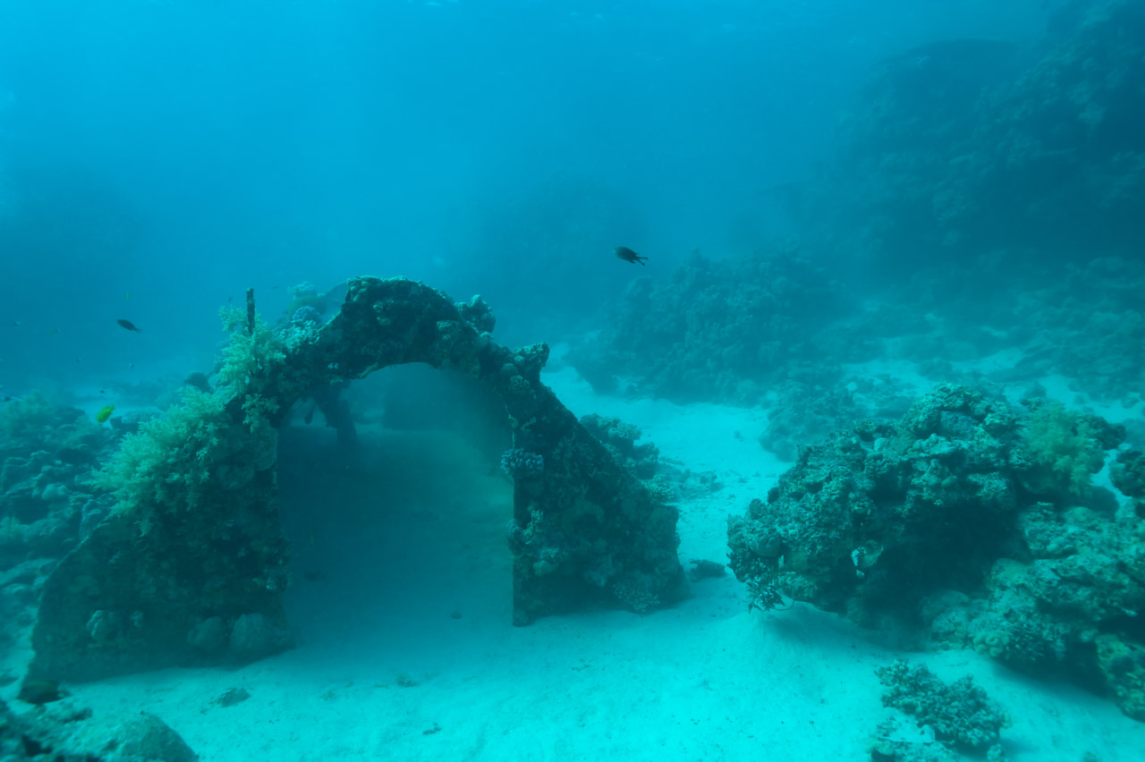 Diving on the site of Conshelf 2 on the Red Sea, off coast of Suddan.