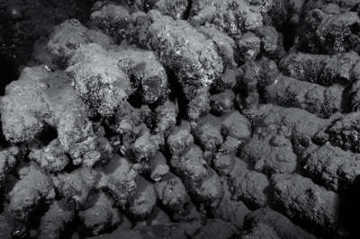 The Umbria wreck laying off the coast of Sudan. Photographs by Amar Guillen.