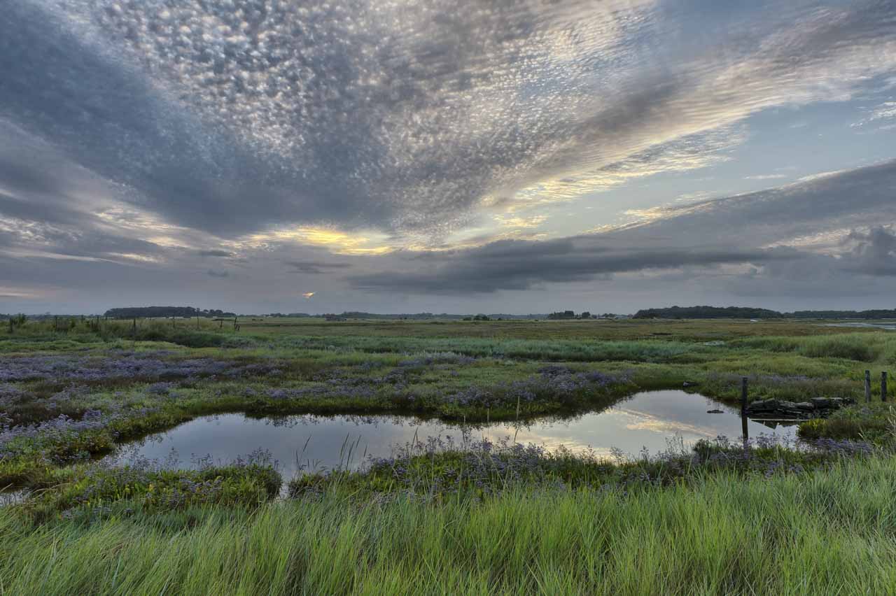 Ce paysage photographié le matin avant le lever de soleil nous inspirait la joie, le bonheur, l'énergie.