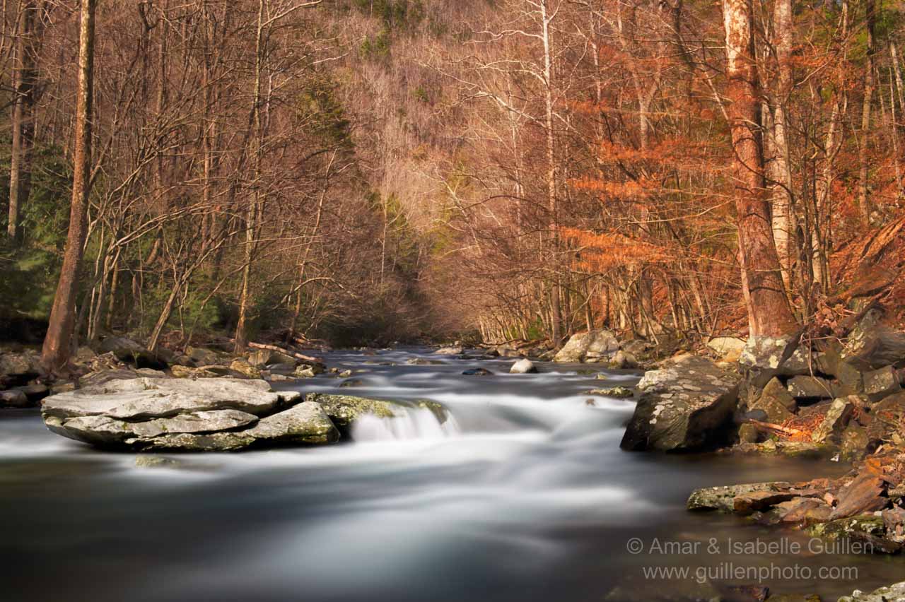 Le mouvement et la perspective sont deux éléments créatifs pour créer des photos de paysages.