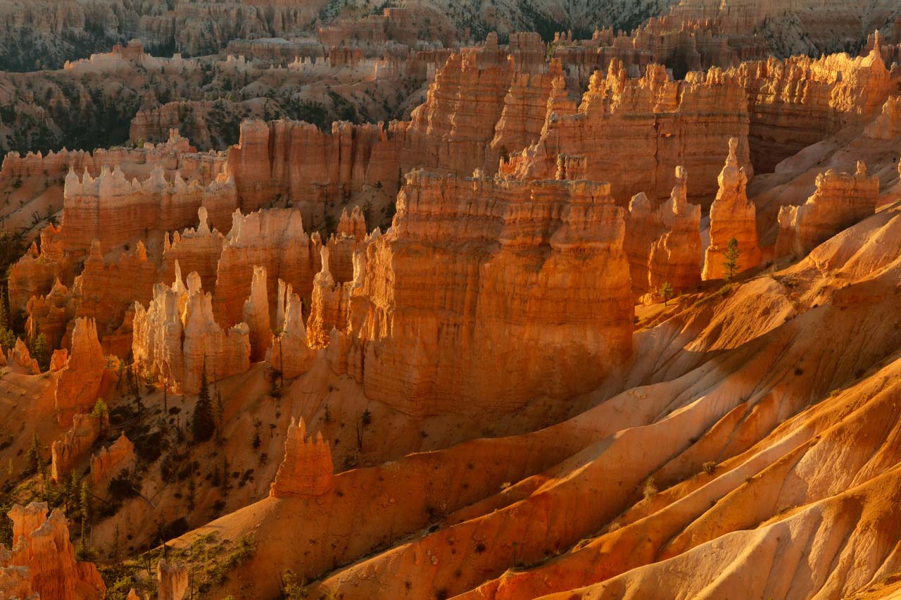 Les hoodoos de Bryce Canyon au lever de soleil.