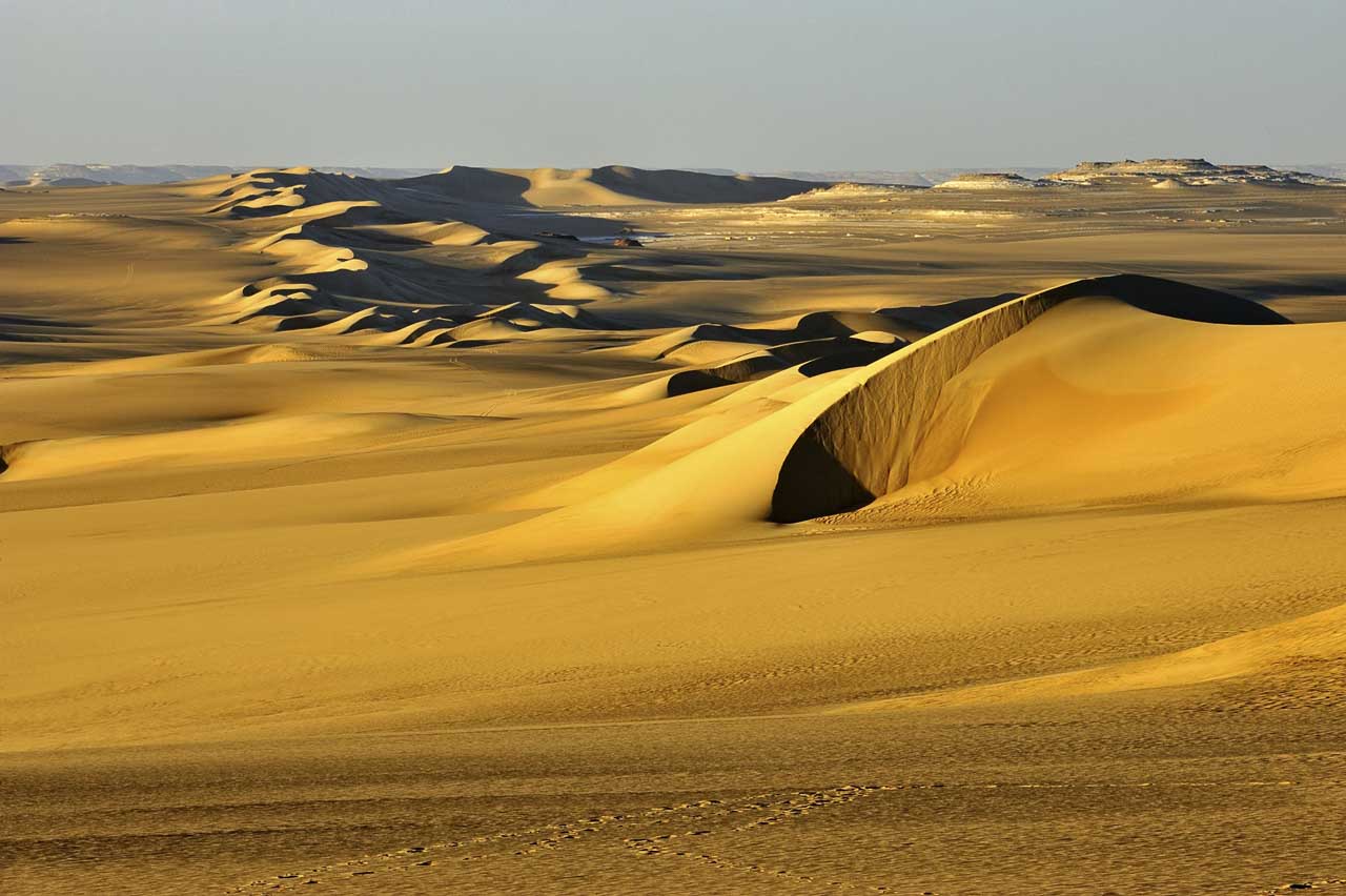 Dunes de sable dans le désert Lybique en fin d'après-midi.