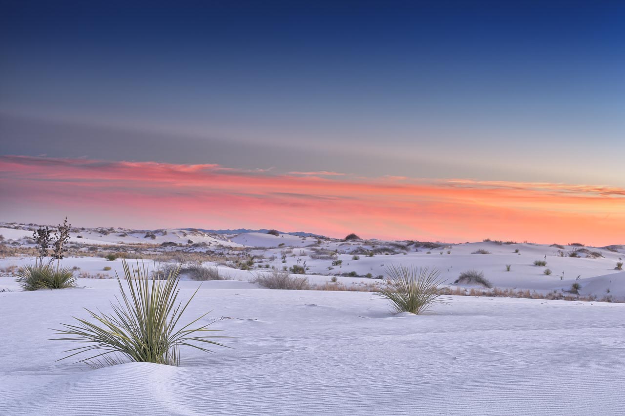 Paysages De White Sand Dunes Au Nouveau Mexique Aux Etats Unis
