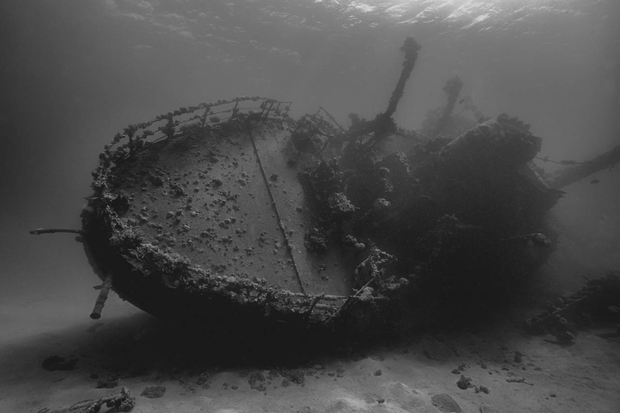 For this collection of art photographs dedicated to the underwater world, we have spent years in different regions of the world.