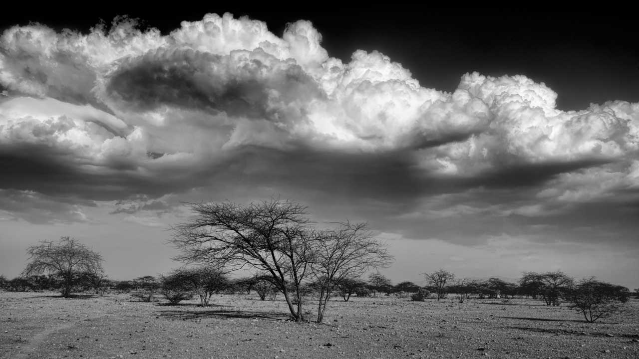 Arbres et nuages en noir et blanc dans un paysage du Kenya. Photo par Amar Guillen, artiste photographe.