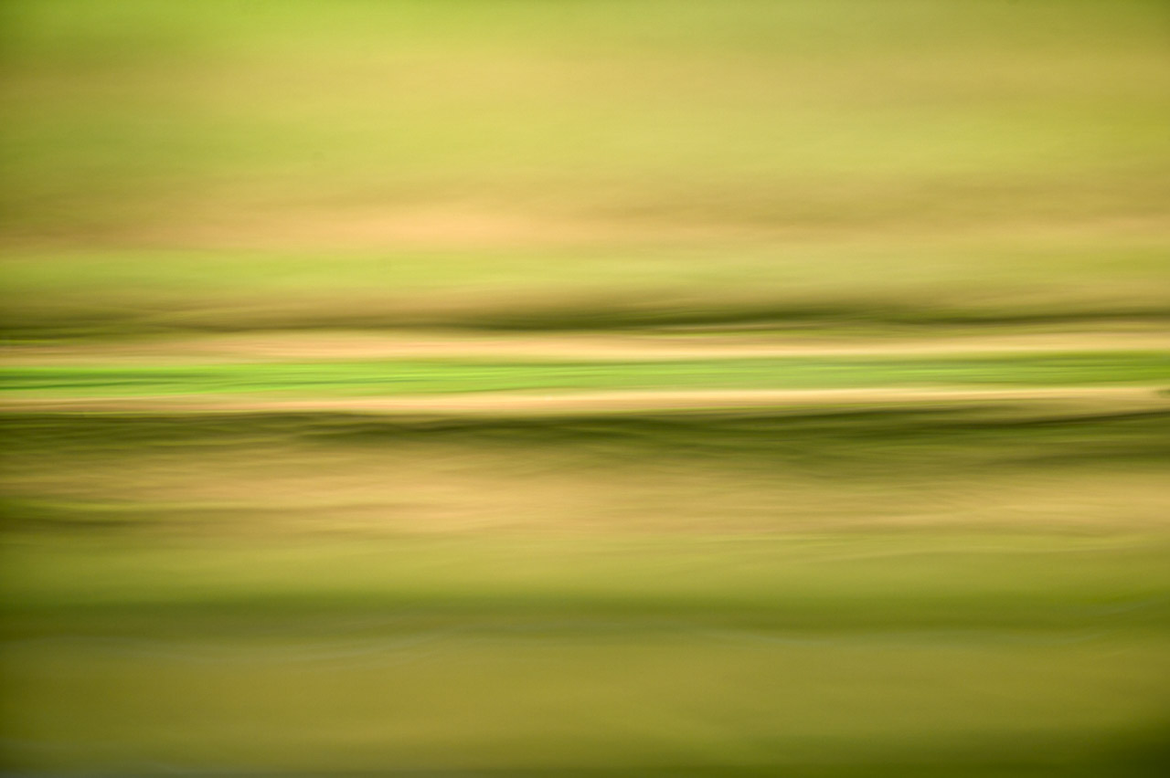 Cette photographie fait partie d'une collection qui nous a donnée une véritable existence photographique.