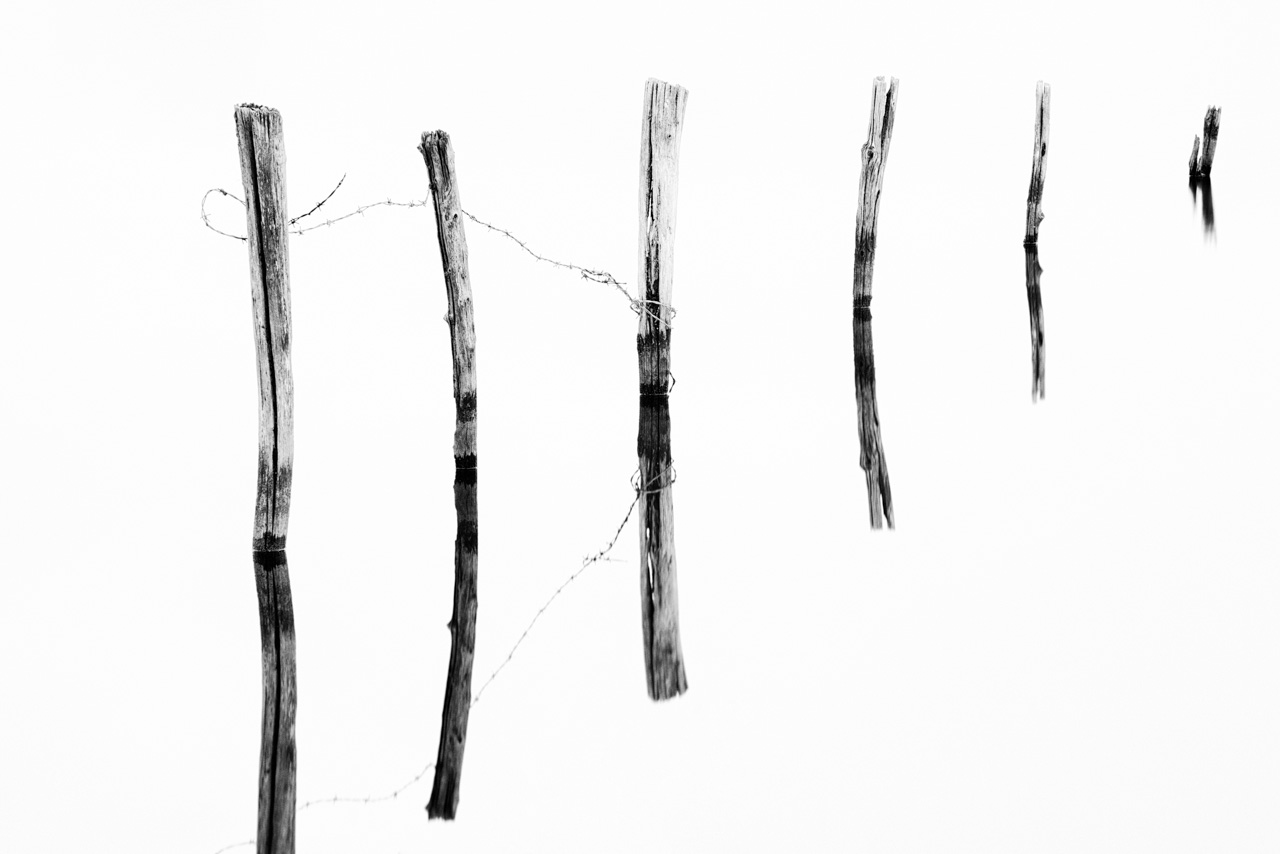 Photographie en noir et blanc de piquets plantés dans un étang. Photographie conceptuelle.