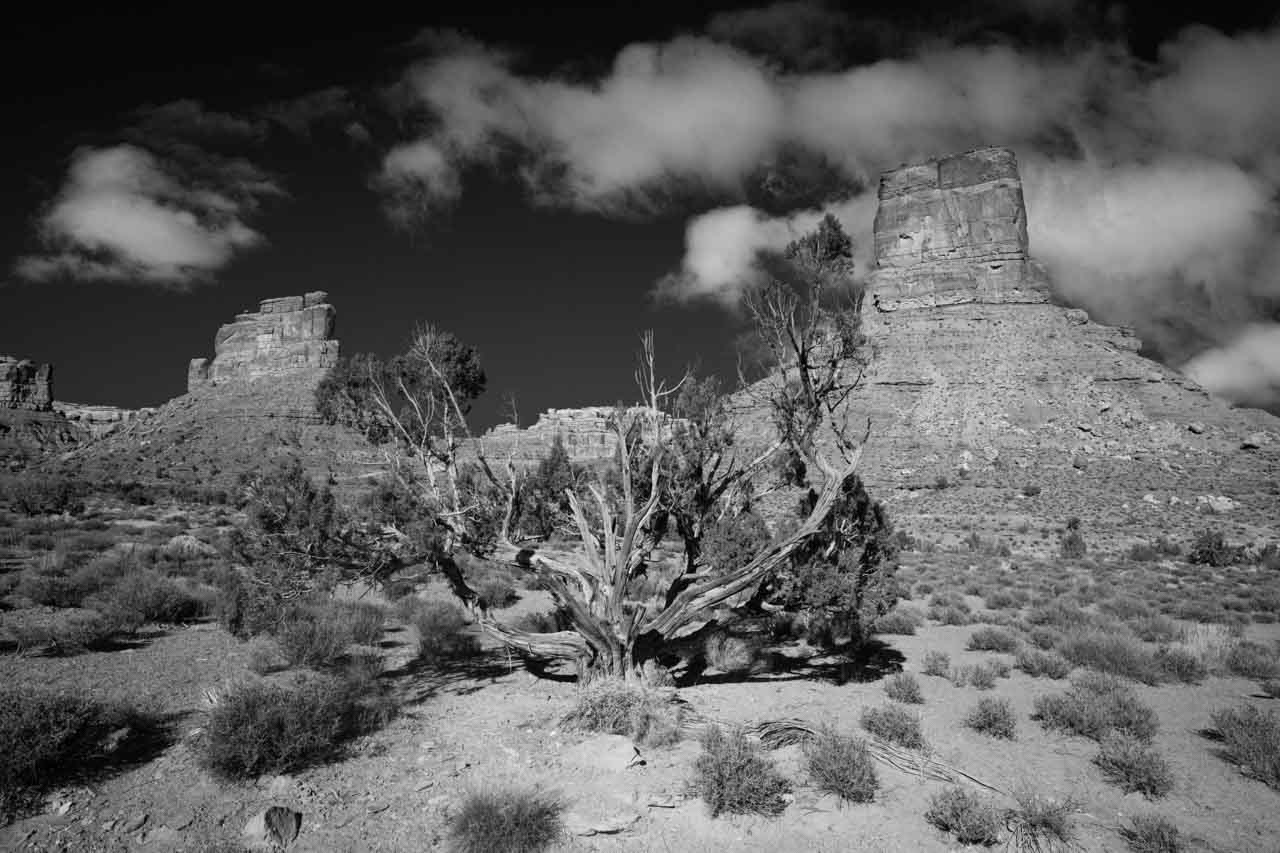 Landscape in black and white of Valley of the Gods in Utah. Photography by Amar Guillen, Photographer Artist