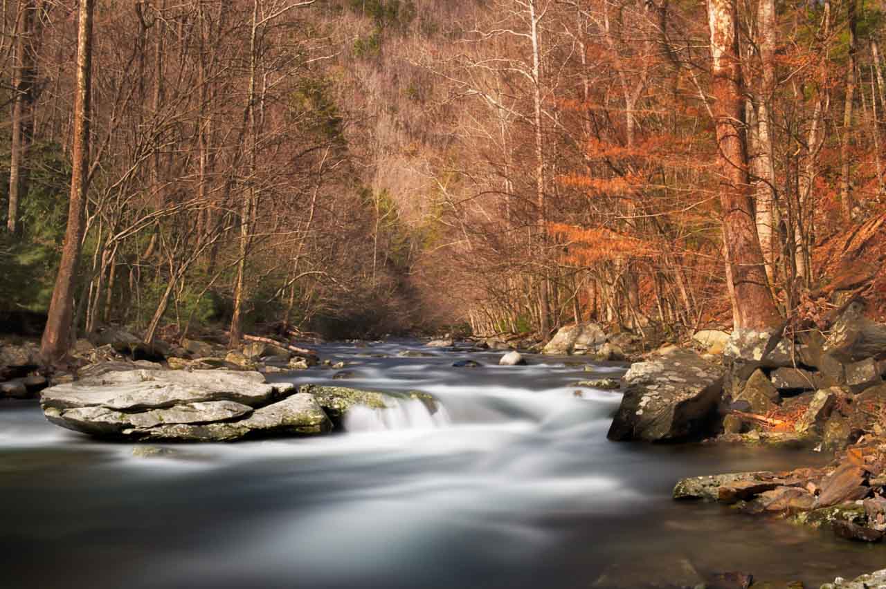 Exemple d'une photo narrative de paysages. Torrent dans les smoky mountains dans l'état du Tennessee. Photo en couleur par Amar Guillen.