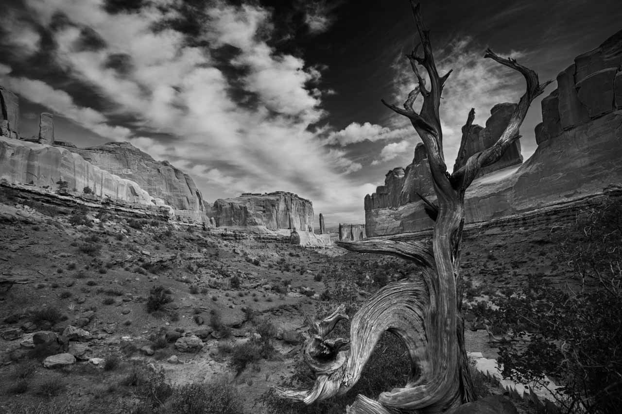 Paysage en noir et blanc du parc national des arches dans l'Utah aux Etats-Unis.