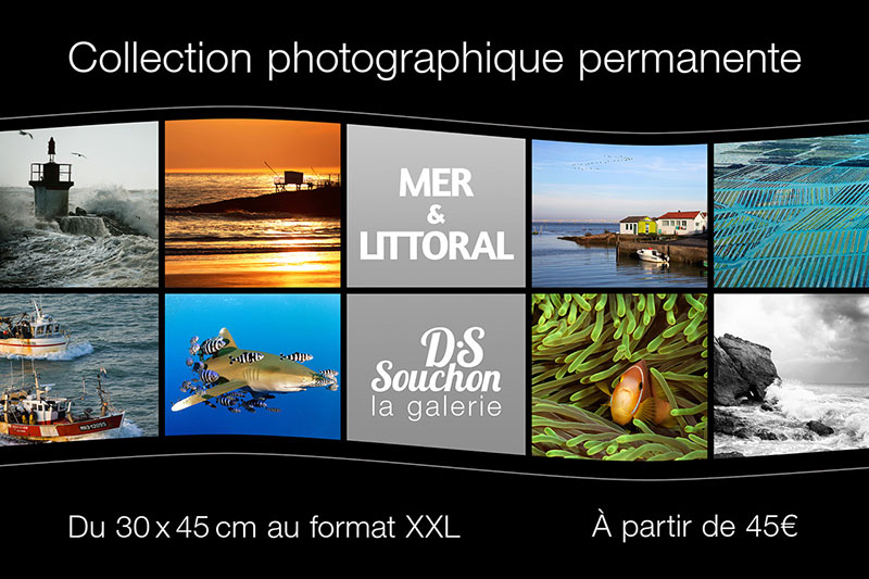 Underwater photo exhibition in Royan at the D.S Souchon gallery.