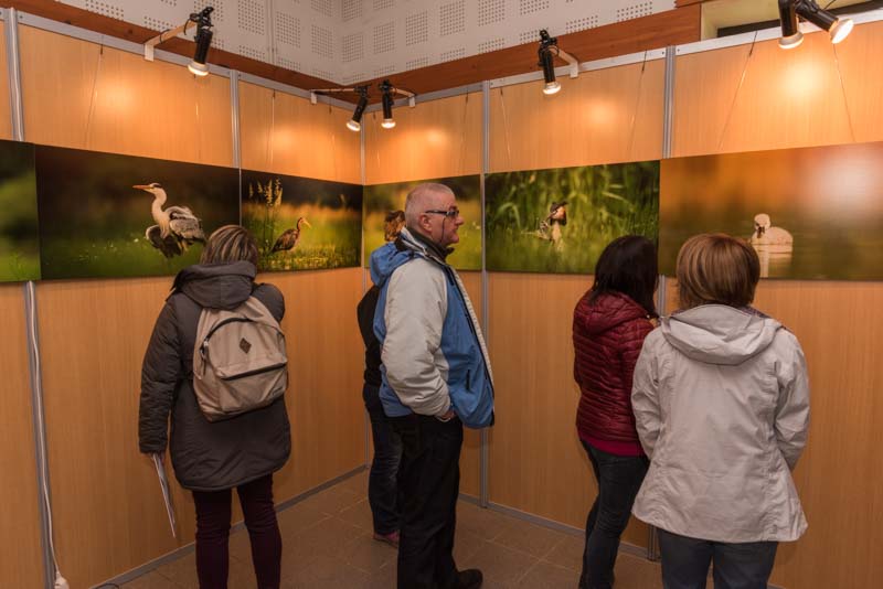 L'exposition 'Ambiances sur les étangs de la Dombes' a été installée durant le festival international de nature de Montier en Der en novembre 2017.