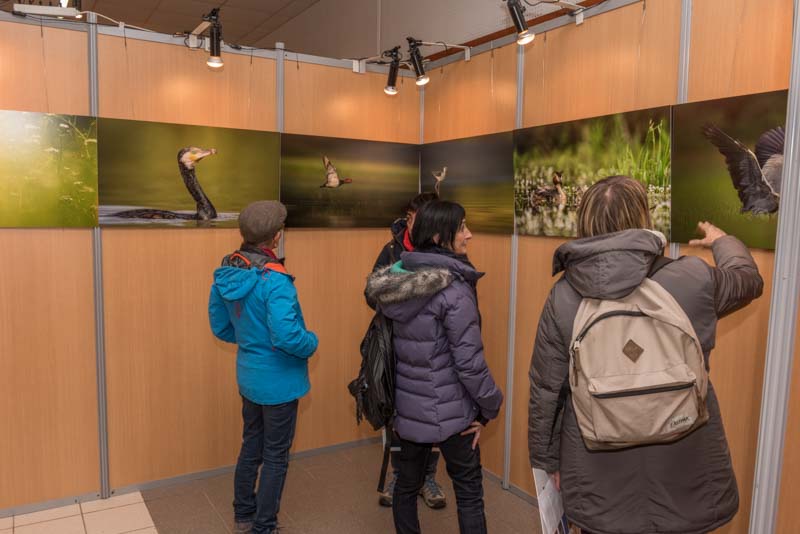 L'exposition 'Ambiances sur les étangs de la Dombes' a été installée durant le festival international de nature de Montier en Der en novembre 2017.