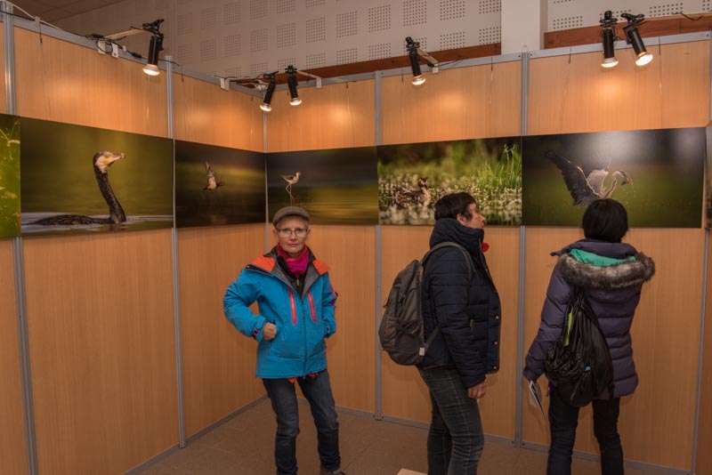 L'exposition 'Ambiances sur les étangs de la Dombes' a été installée durant le festival international de nature de Montier en Der en novembre 2017.