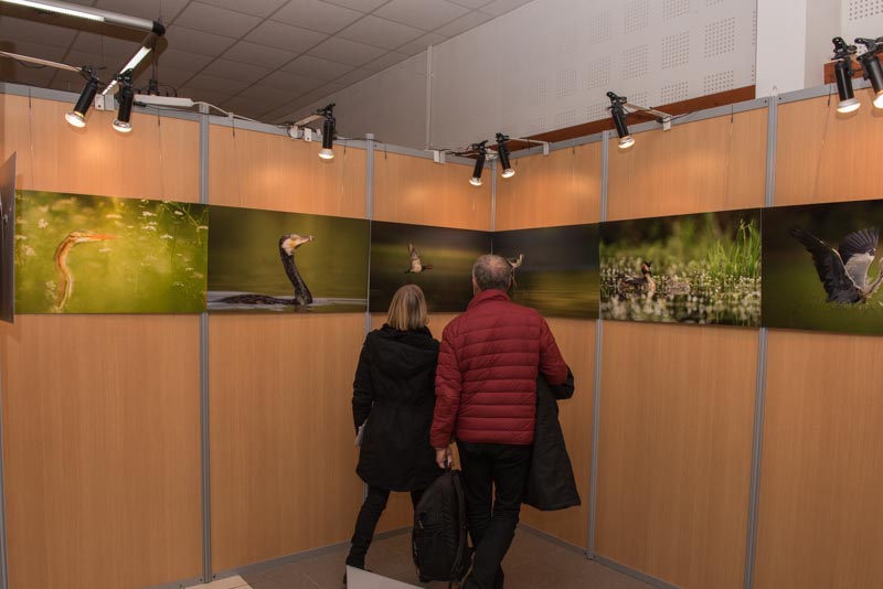 L'exposition 'Ambiances sur les étangs de la Dombes' a été installée durant le festival international de nature de Montier en Der en novembre 2017.