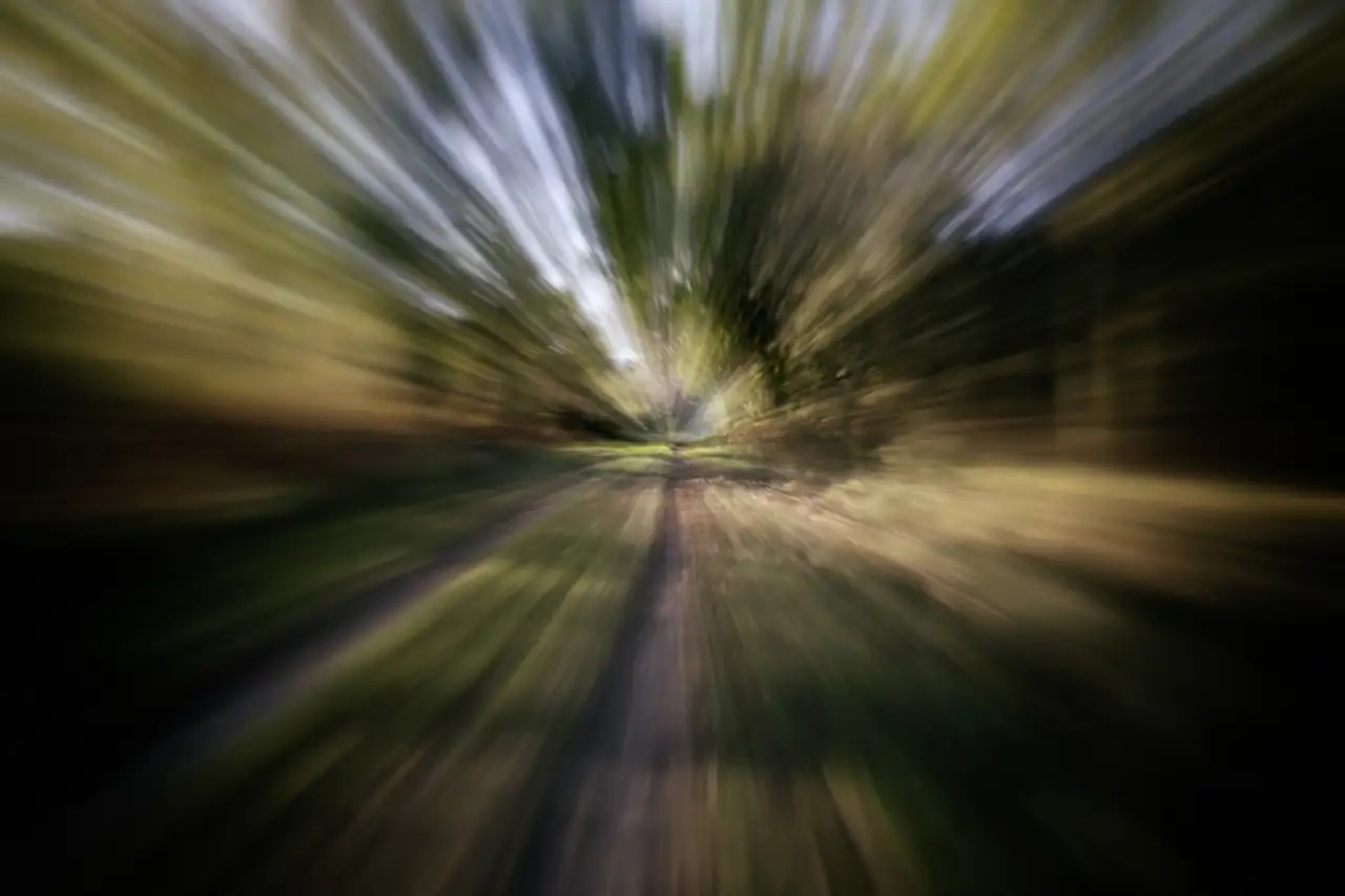 Abstract photo of an undergrowth in color. Photographed using the zooming technique. Fine art Photograph in color by Amar Guillen, photographer artist.